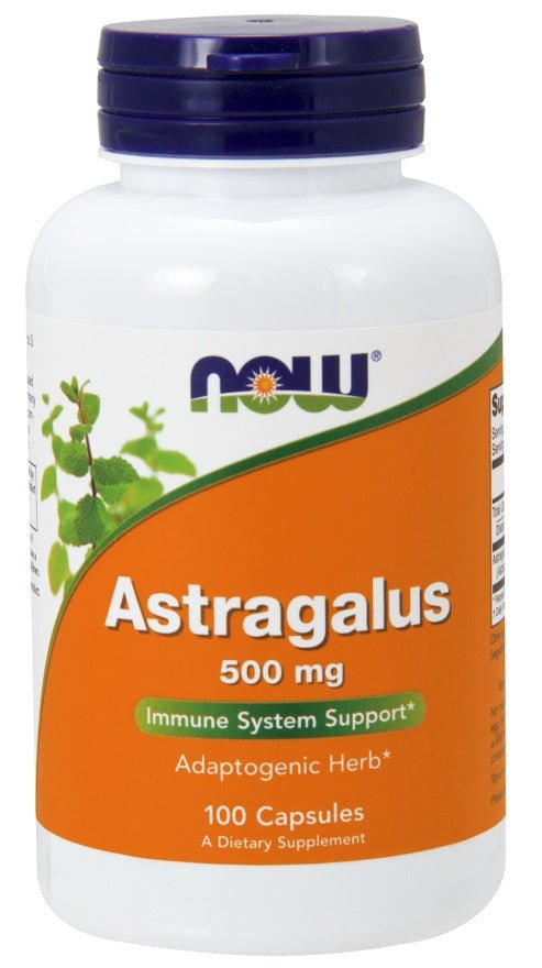 Astragalus, 500mg - 100 caps - VitaeSupps