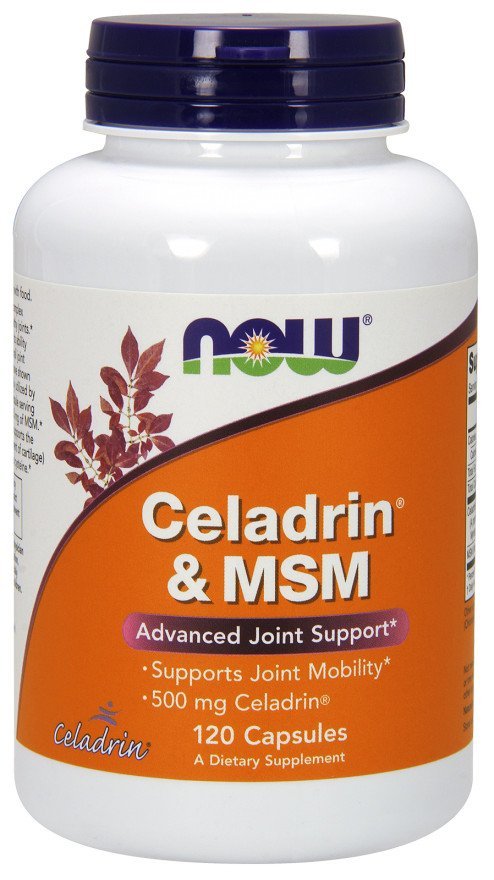 Celadrin & MSM, 500mg - 120 caps - VitaeSupps