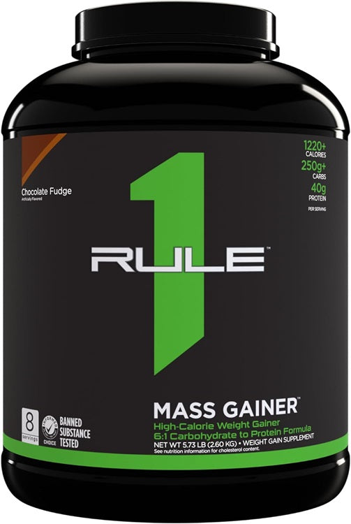 Mass Gainer, Chocolate Fudge - 2600 grams