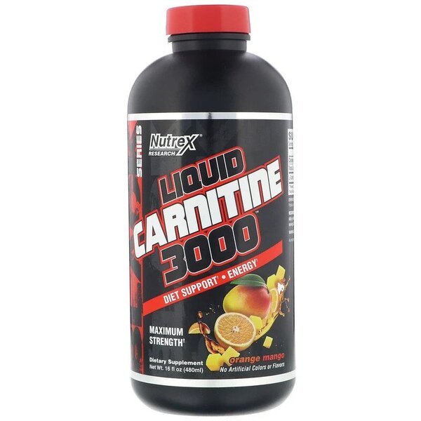 Liquid Carnitine 3000, Orange Mango - 480 ml. - VitaeSupps