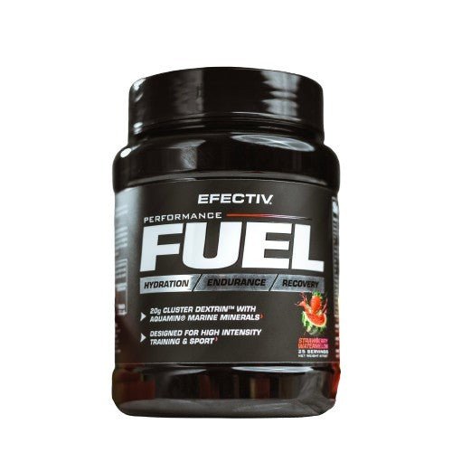 Performance Fuel, Strawberry Watermelon - 675 grams - VitaeSupps