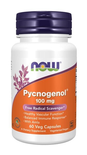Pycnogenol, 100mg - 60 vcaps - VitaeSupps